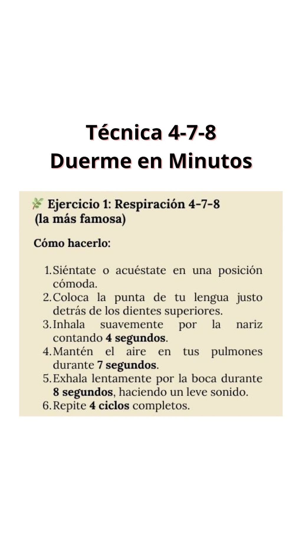 Paquete RECARGA MAESTRA