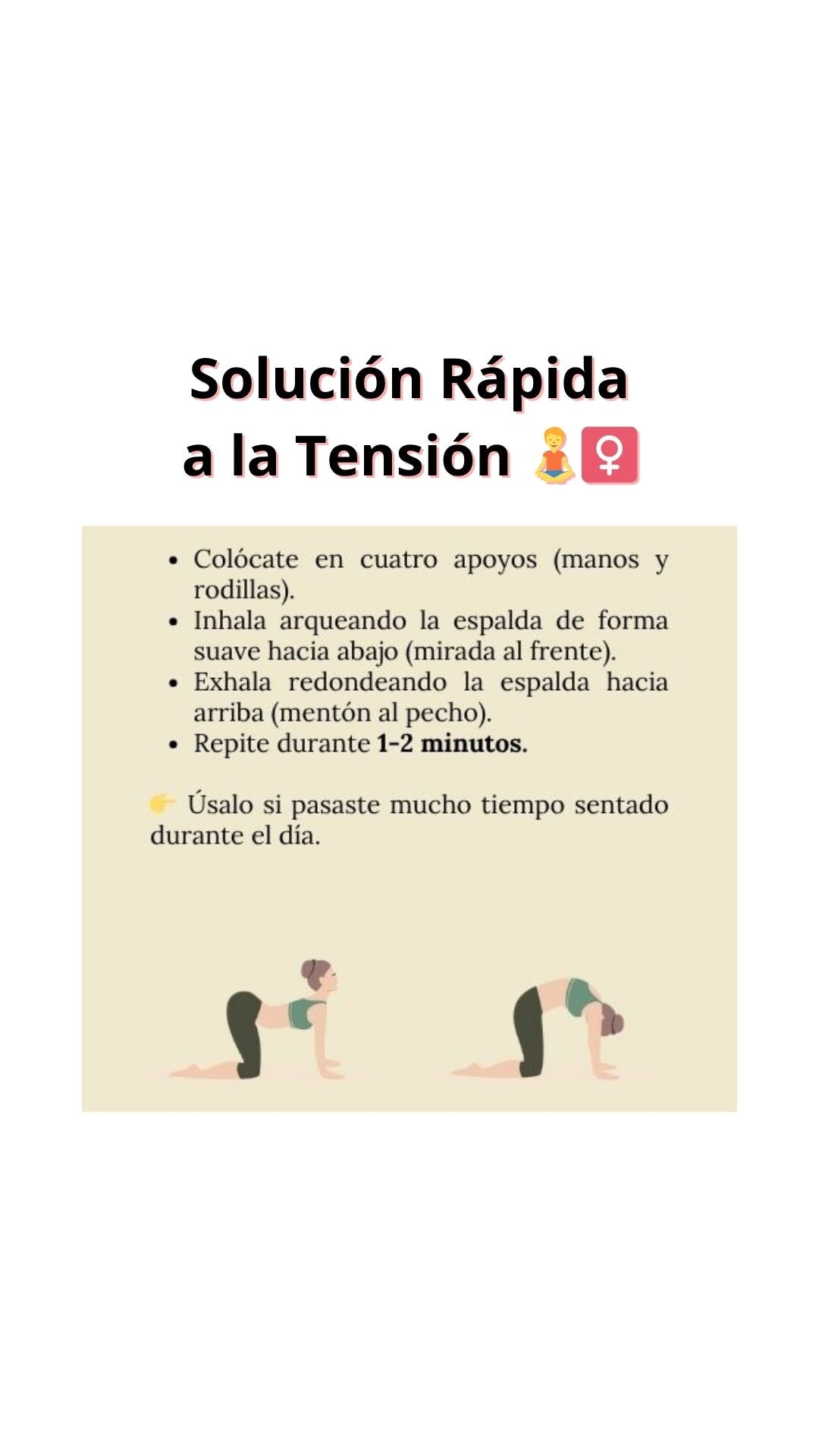 Paquete RECARGA MAESTRA